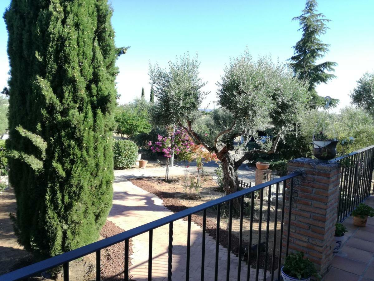 Casa Rural La Amistad Vila Burguillos de Toledo Exterior foto