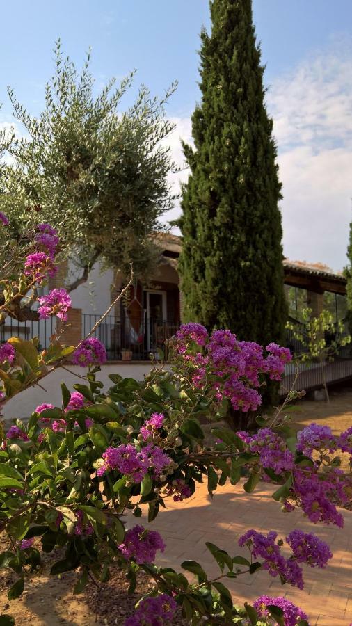 Casa Rural La Amistad Vila Burguillos de Toledo Exterior foto